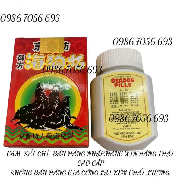 King dou fong seadog pill, hải cẩu hoàn 3 con HongKong _ thuốc chữa yếu sinh lý